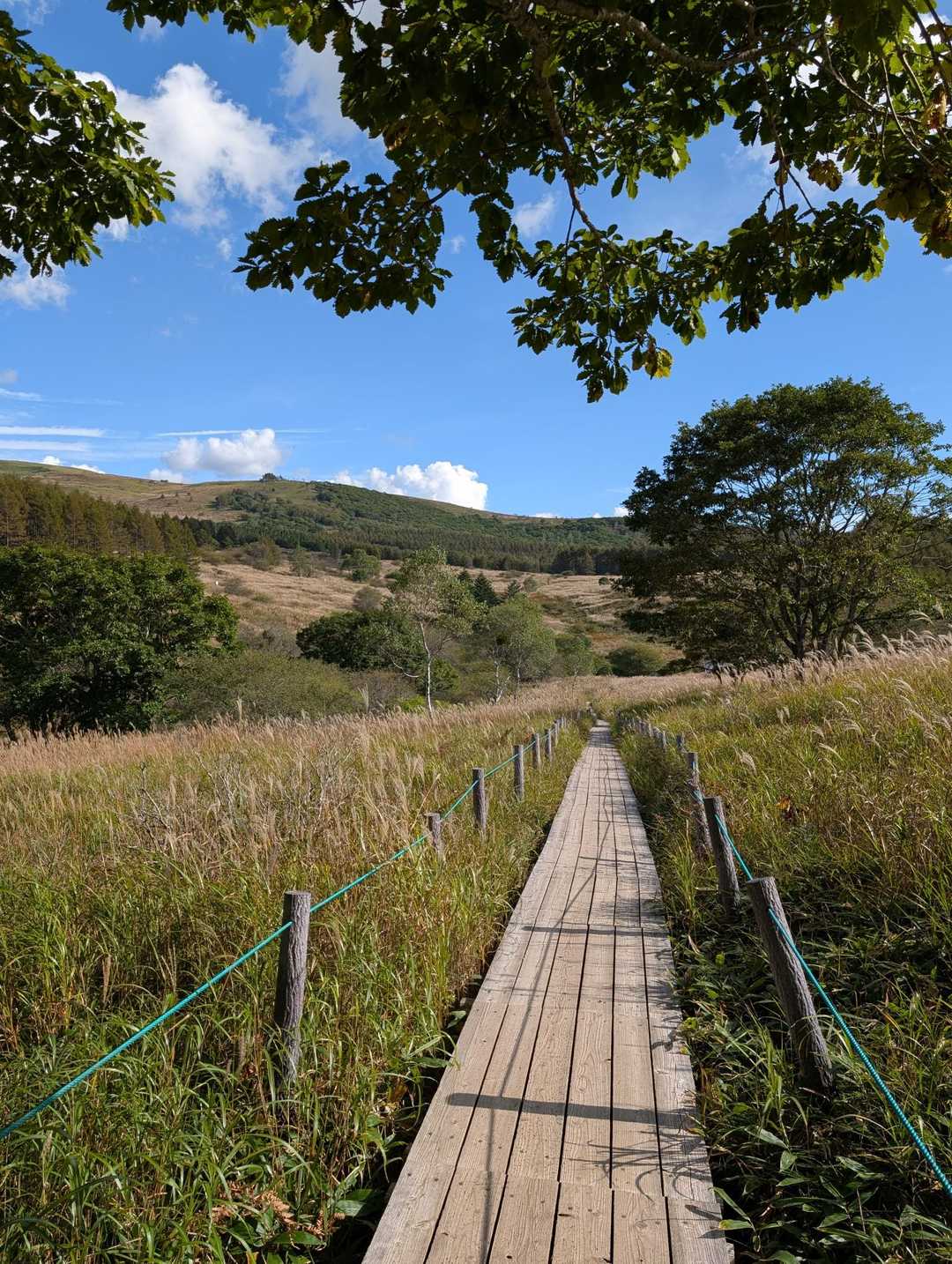 八島湿原バス停-八島湿原入口-霧ヶ峰湿原植物群落-男女倉山 周回コースの写真