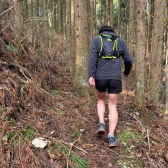 容赦な〜い😂

いい脚だ🦵