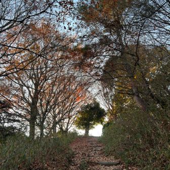ここの紅葉は終盤でした😆