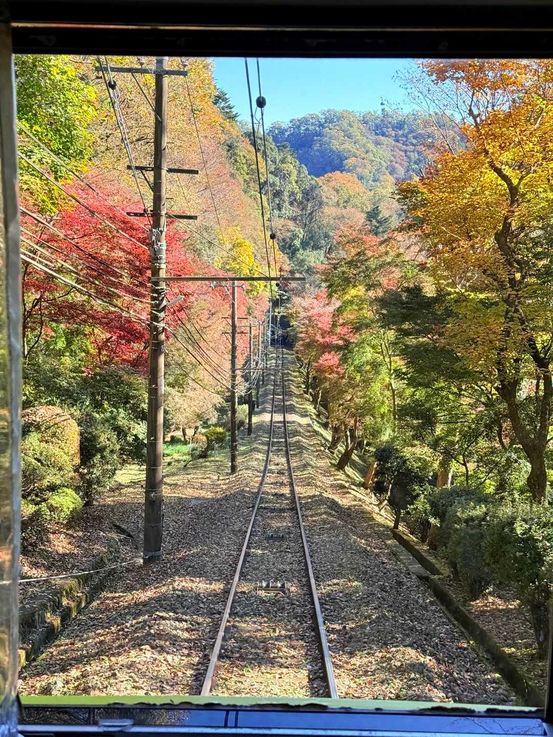 高尾山口駅-高尾山-城山-いろはの森 縦走コースの写真