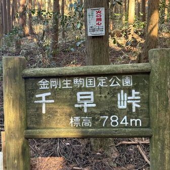 千早峠まで来ました🐾