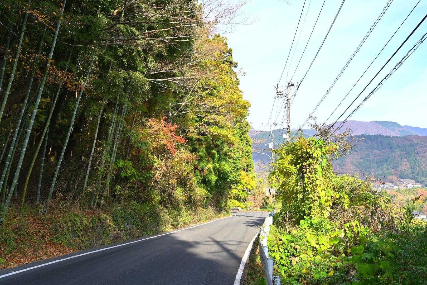 また車道に下りて
登山口まで歩きます