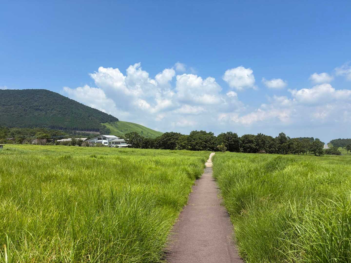 坊に比べたら灼熱としか思えないタデ原