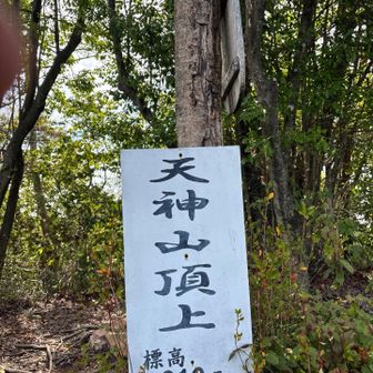 2座目