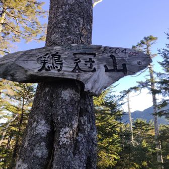 鶏冠山