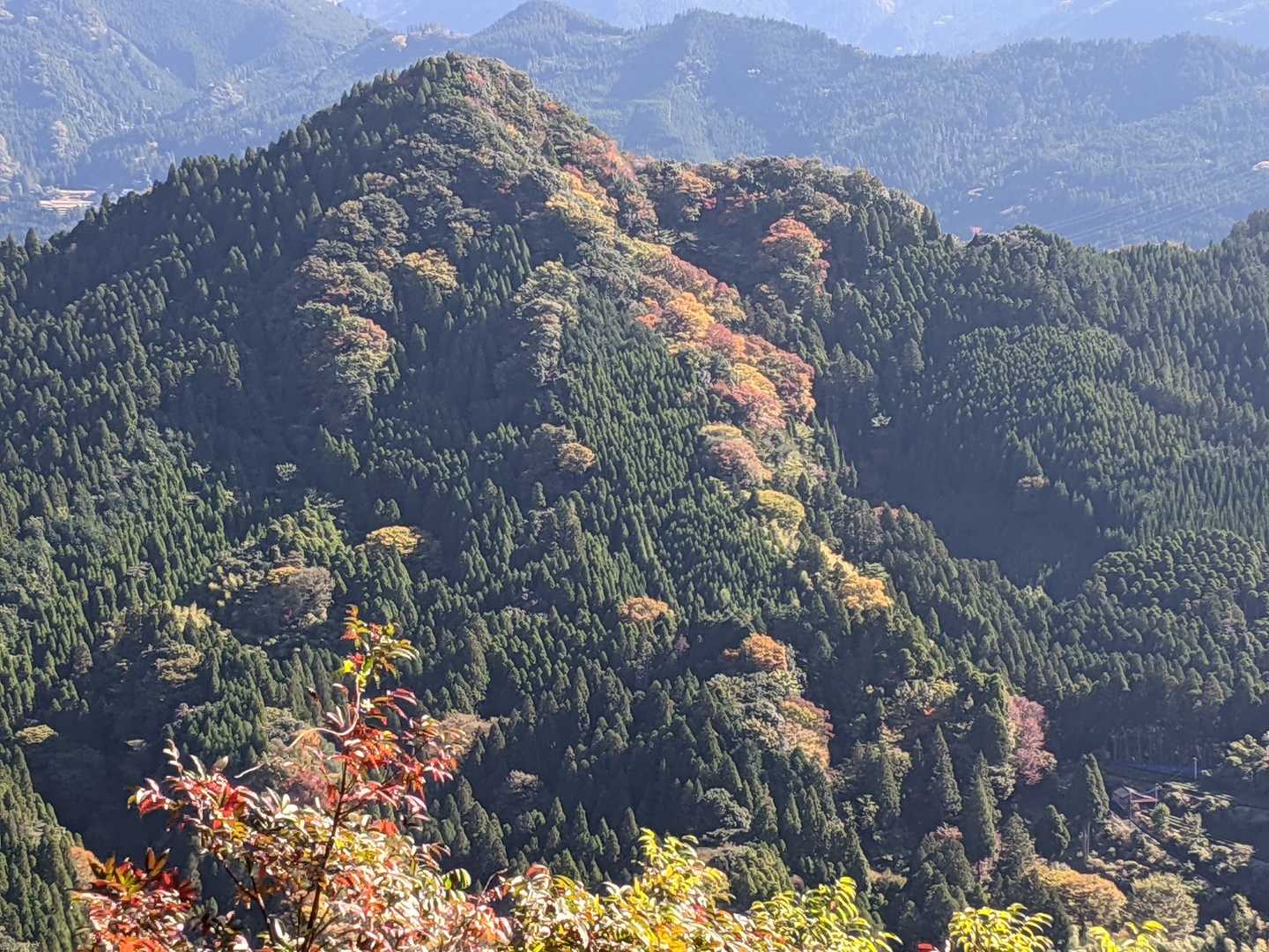 紅葉はもう少し先でしょうか🤔