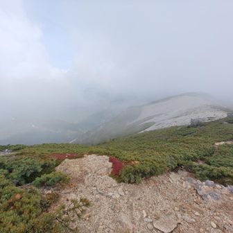 場所によってはまだ雪がたくさん残ってる。
ただ、今回の登山ルートには皆無でした。