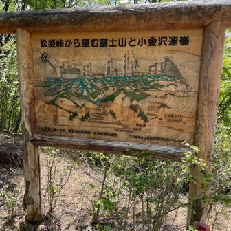松姫峠　山の案内板　すぐそばにバイオのトイレがあり、小菅村のどデカい看板