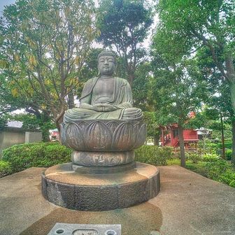 浅草寺境内の大仏（阿弥陀如来坐像）
創立：元禄６年（1693年）
文化財指定：台東区搭載有形文化財

像高：1.8ｍ（台座は含まない）

材質：青銅製