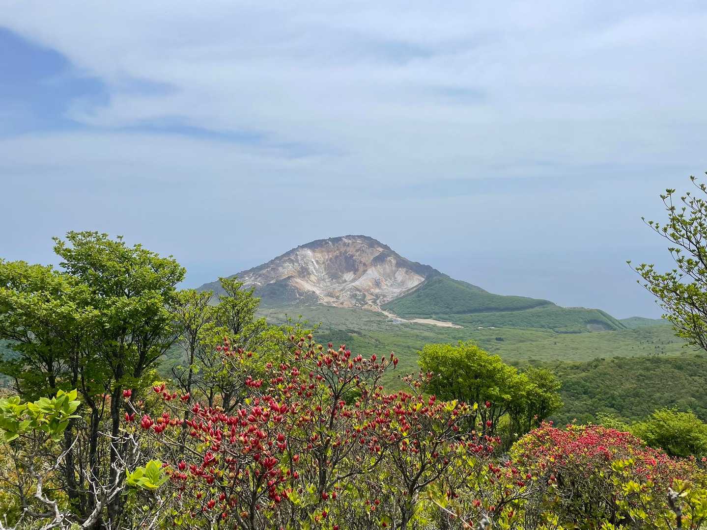 権現堂入口-海向山登山道入口-海向山 往復コースの写真