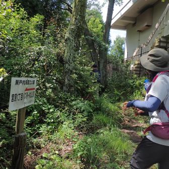 ちょこちょこ休みながらさんちょ
休山じゃけね。
しかし汗かいたねー