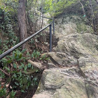この辺はかなり急登