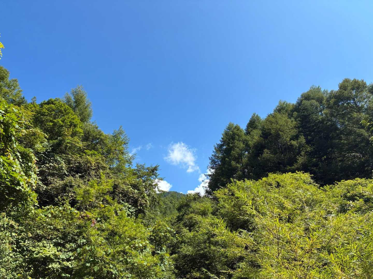 いよいよ登山のスタートです🥾
今日は何が起こるかワクワク…🤗
