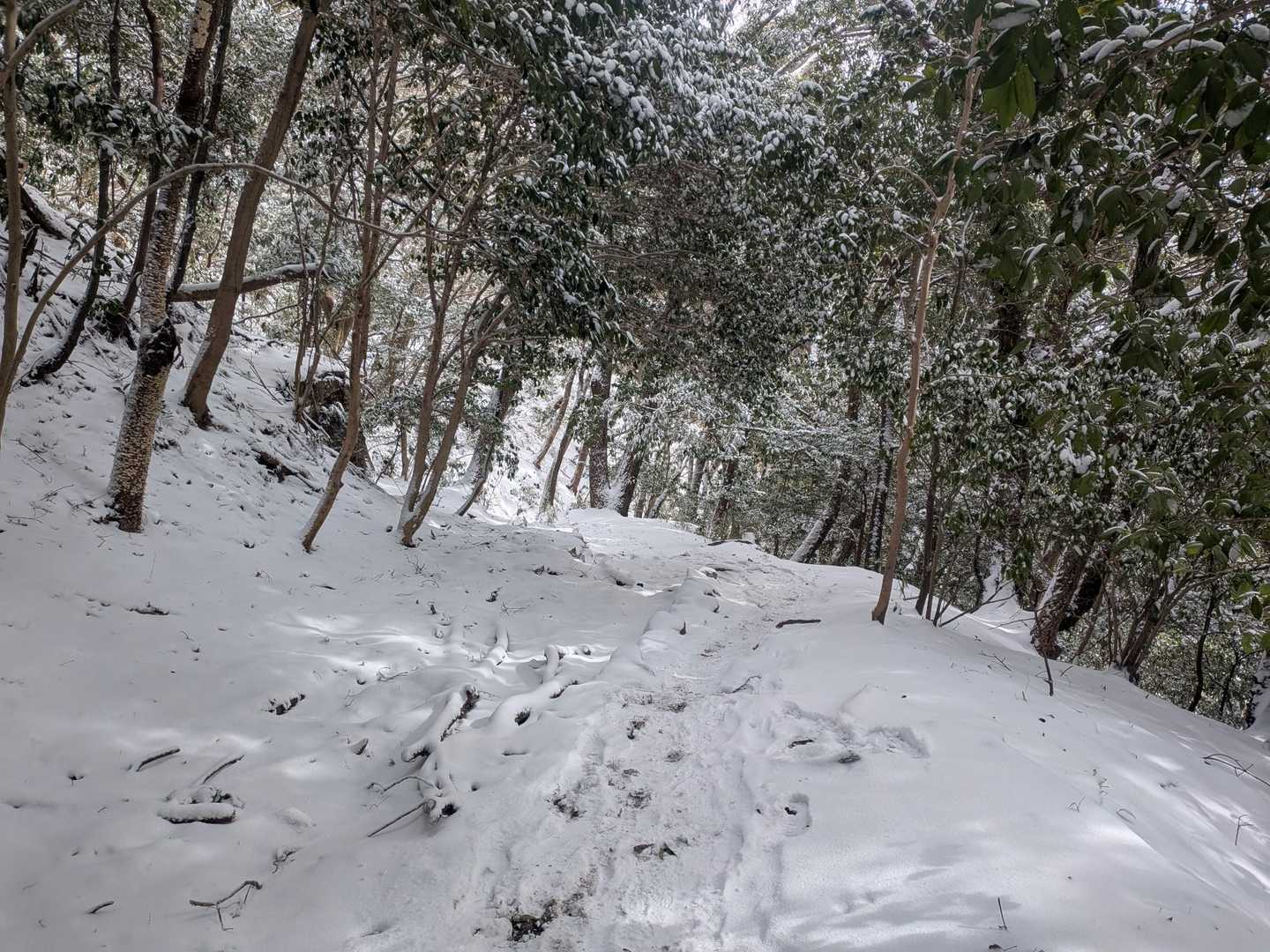 気持ちいい〜