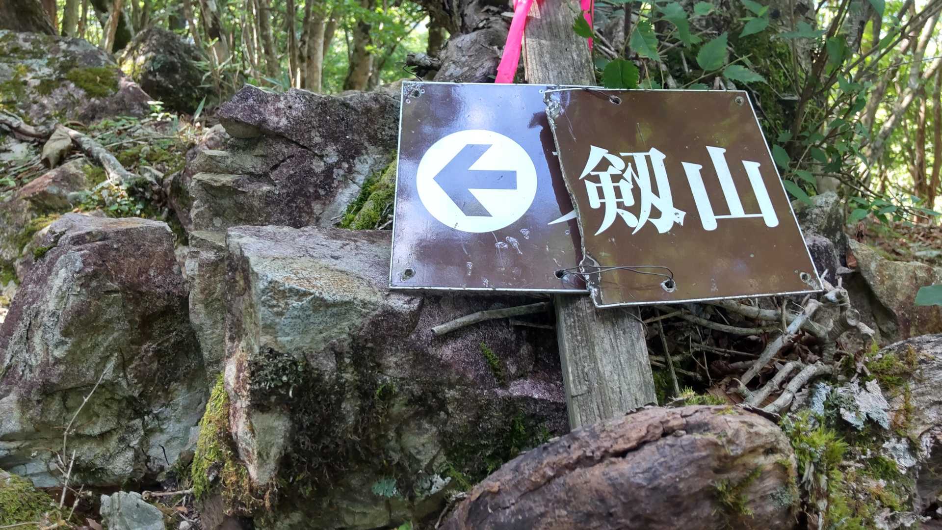 ネタではありません