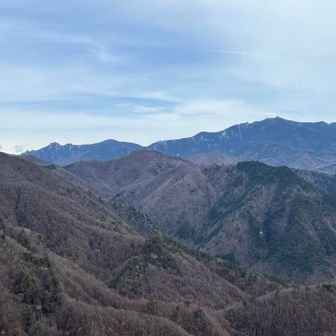 ミズカキと3週間前に訪れたキンプ