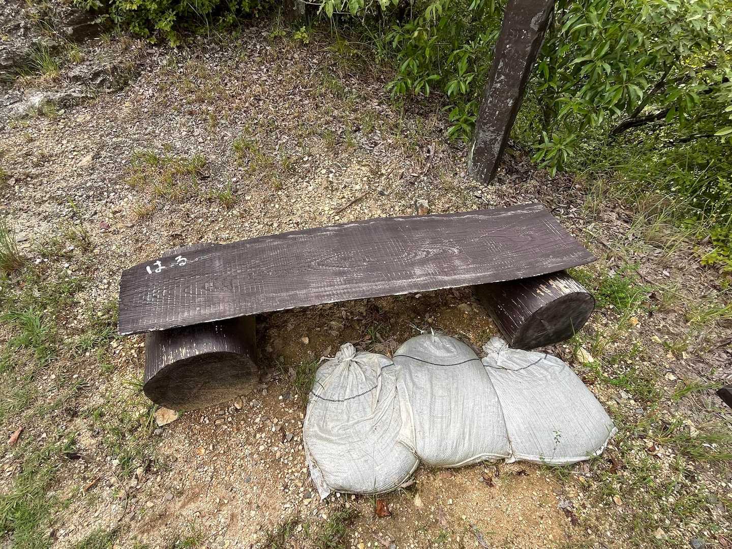 金山-岩坂峠 周回コースの写真
