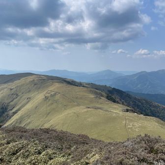 背骨が見えそうな…リアル牛の背！