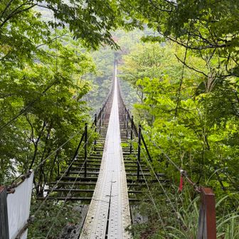 薄目で1m先だけみて渡りました😭生きた心地がしません😇