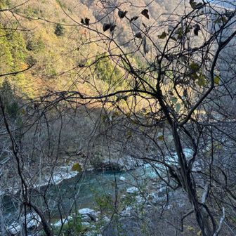 宮川の水音が心地よいです♪
