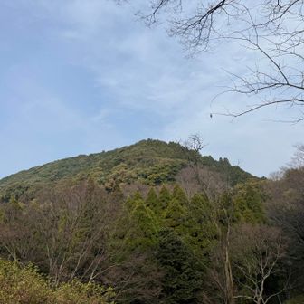 目の前は高良山