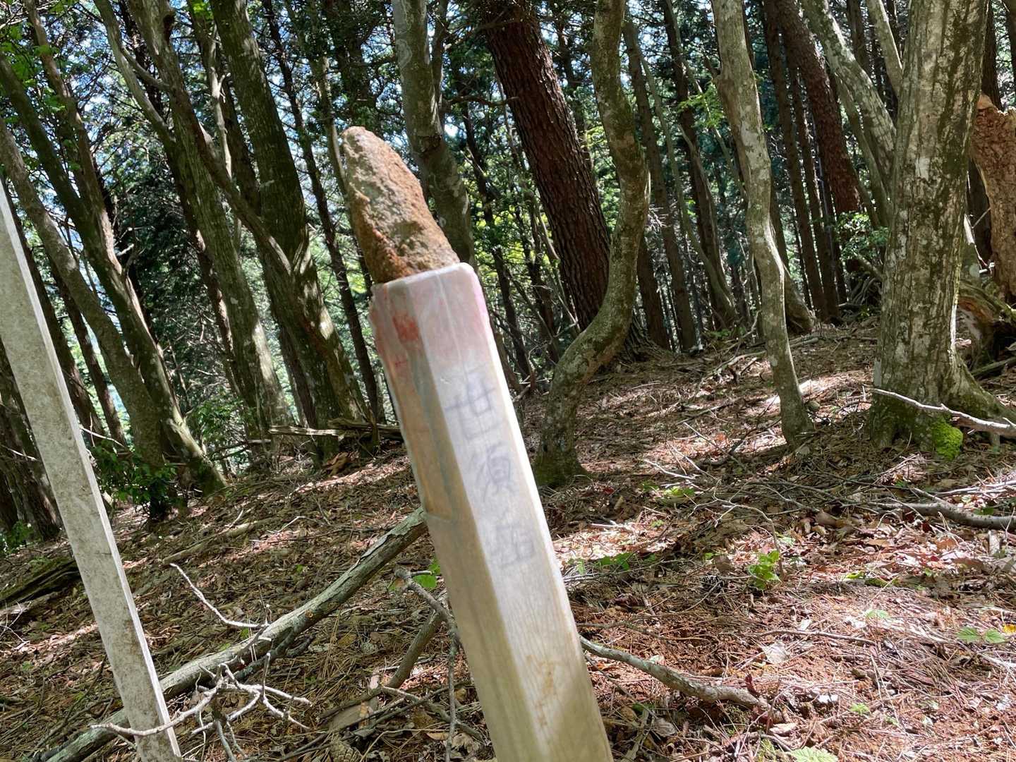 世須岳の座標はないがこの杭に薄っすら書かれてます🫥