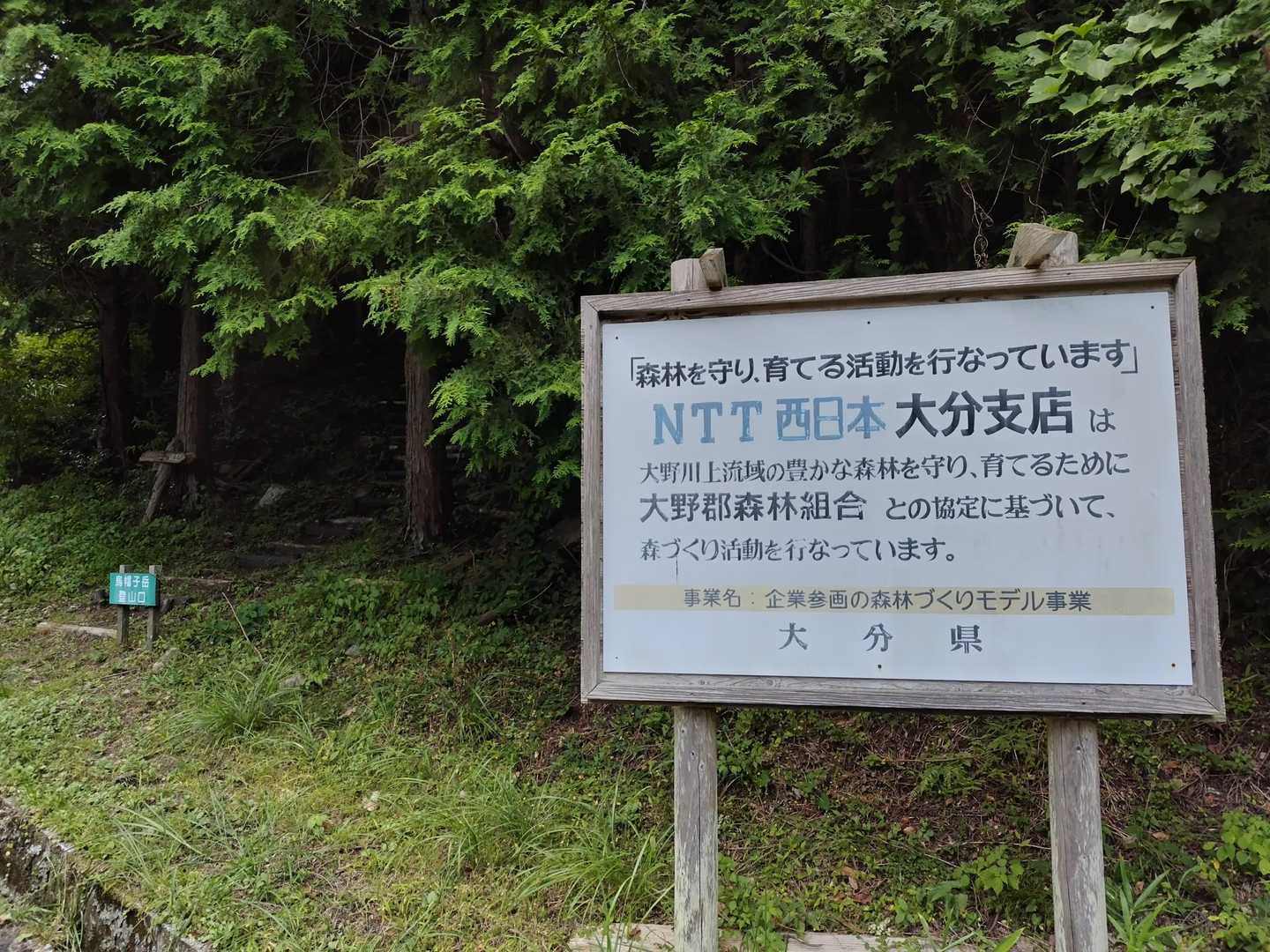 NTTさん、ありがとうございます✨