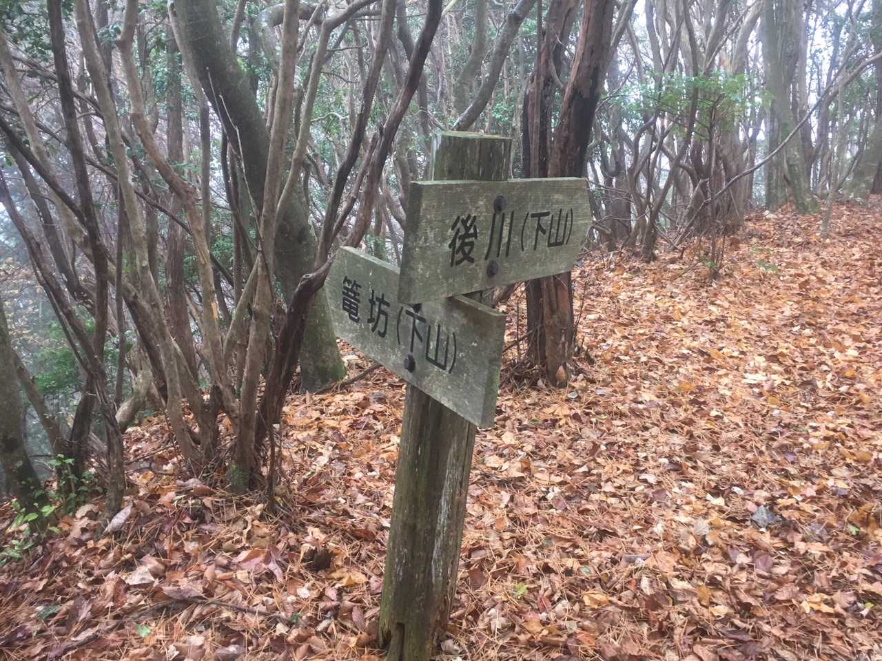 6座目の八上山🚩では、山名が刻まれた杭を撮り損ねました😢
