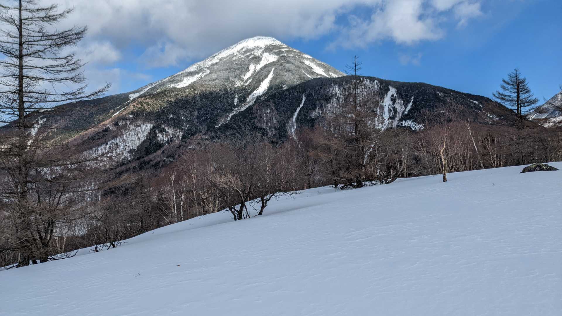 八子ヶ峰東峰 往復コースの写真