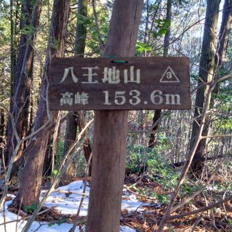 八王地山153.6m登頂🙌🚩
八王子かと思っていたら八王地
ここは下天下（しもてが）古墳群の山らしい。ということは、ひょっとして八人の王の墳墓かも🤔