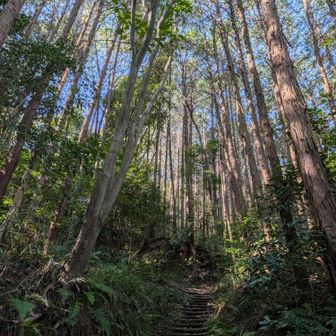 加守神社　登山口