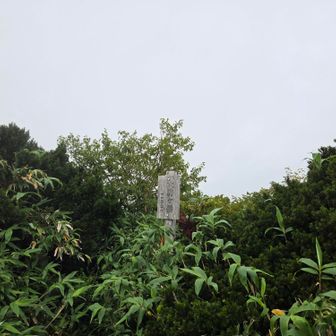再びの大駒ヶ岳山頂は雲の中で真っ白☁️
後はひたすら下山しました