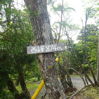 こっちは眺望有り📷️