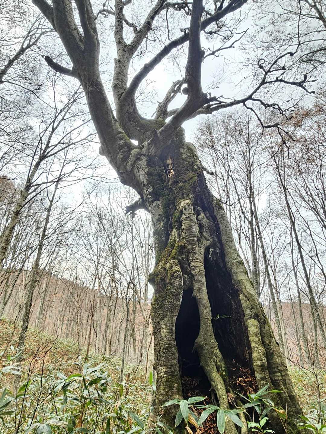 自然を感じる