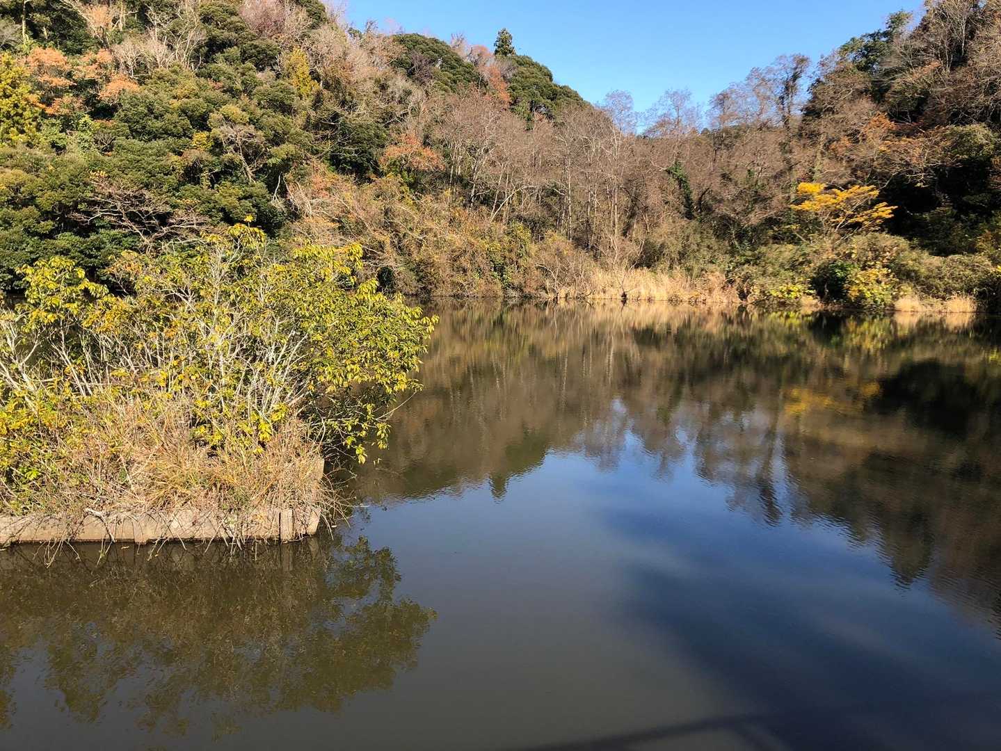 池がありました