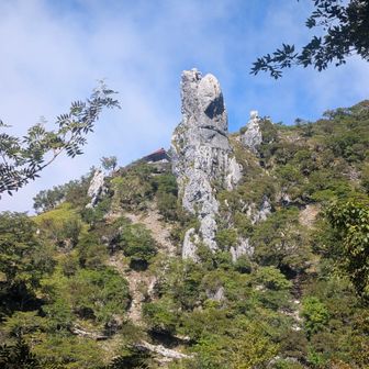 剣山の御神体→大劔（おおつるぎ）神社の御祭神・大山祗命（おおやまつみのみこと）の象徴でもある、「御塔石（おとうせき）」と呼ばれる巨大な石灰岩の岩石です。byChatGPT