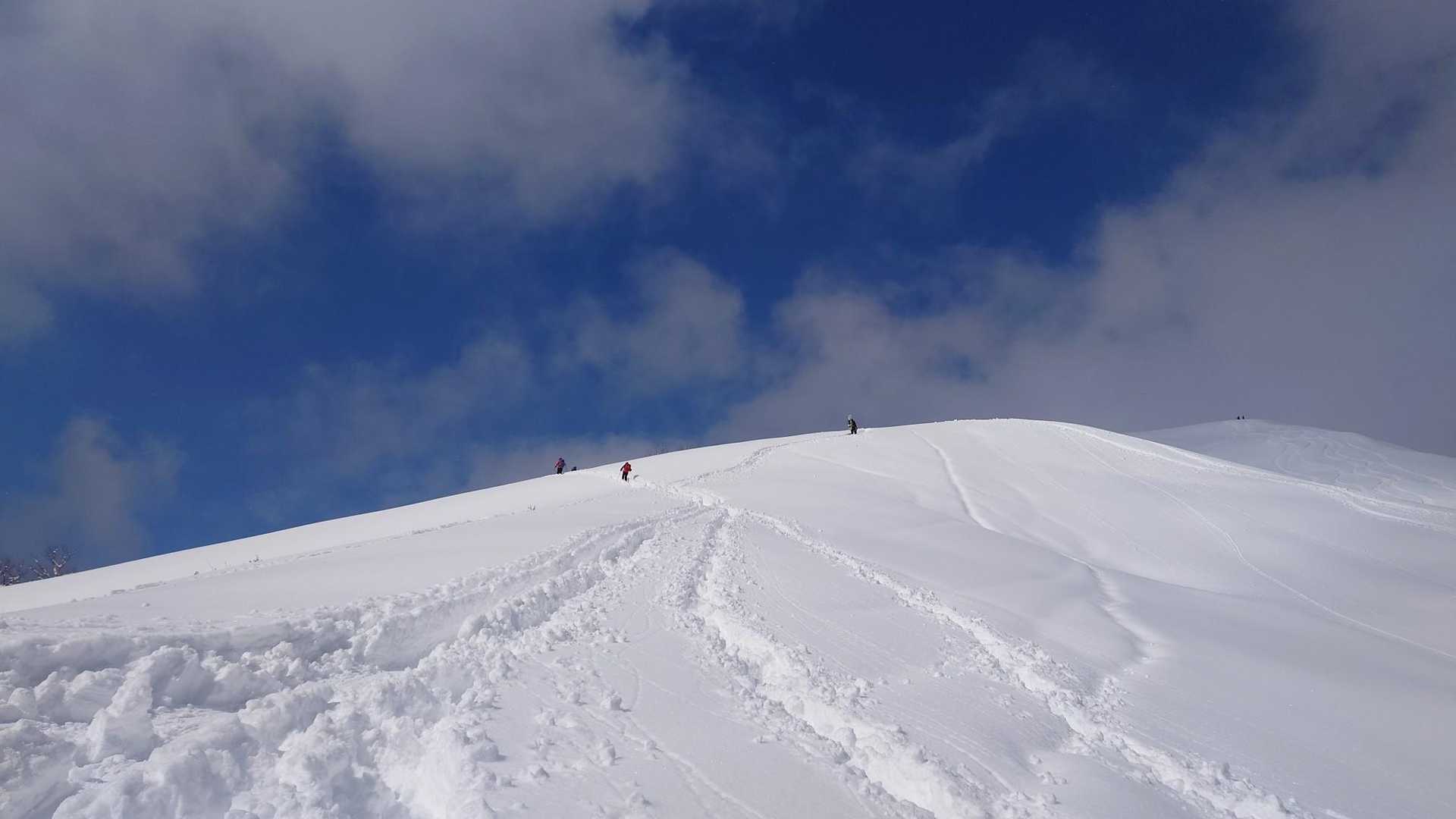 雪がちらつくお天気ですが、深入山ブルー!