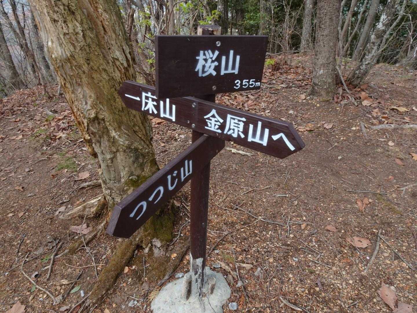 出尾根コース登山口-三床山 周回コースの写真