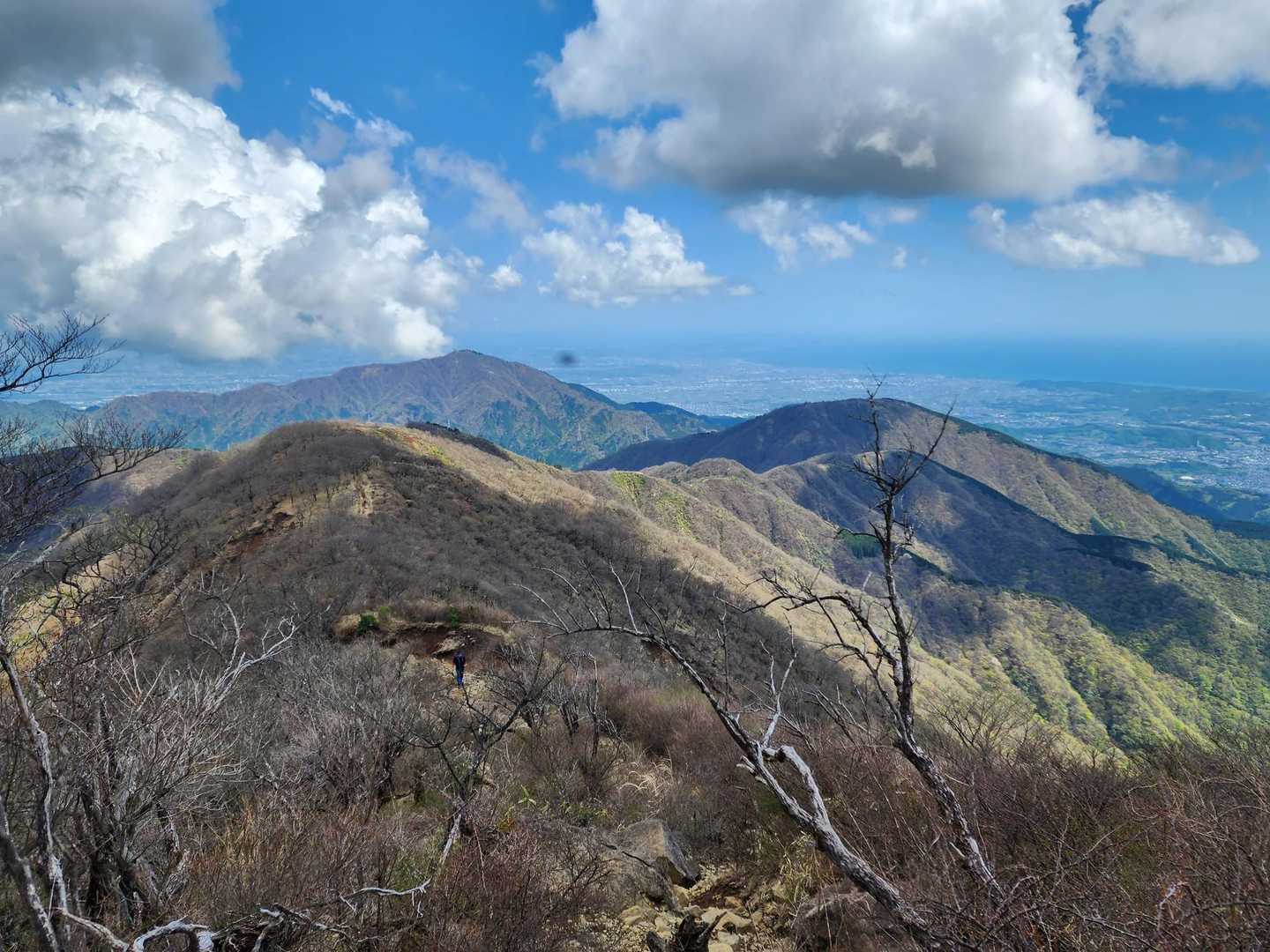 木ノ又大日-塔ノ岳 往復コースの写真