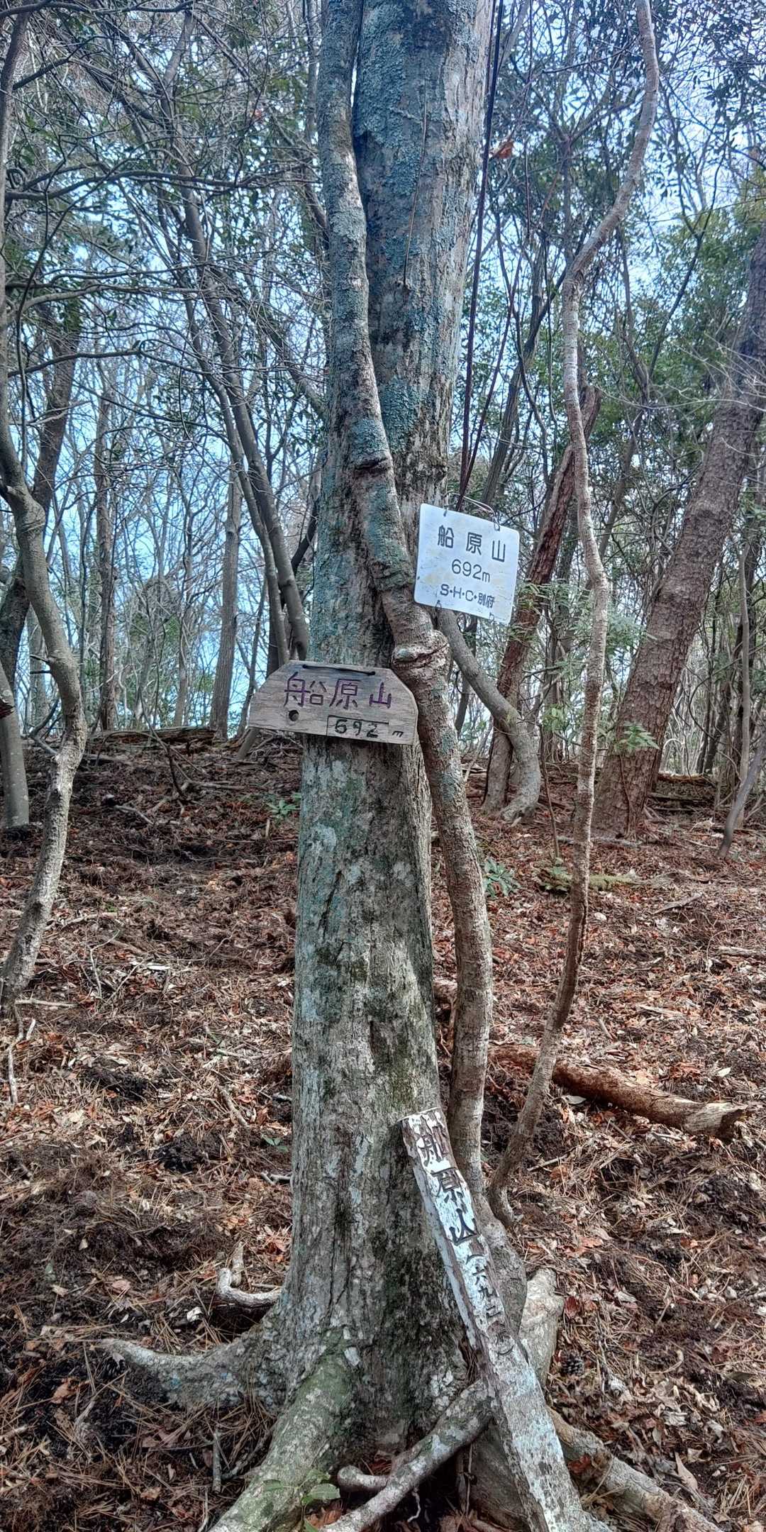 志高湖畔バス停-船原山-立石山 周回コースの写真