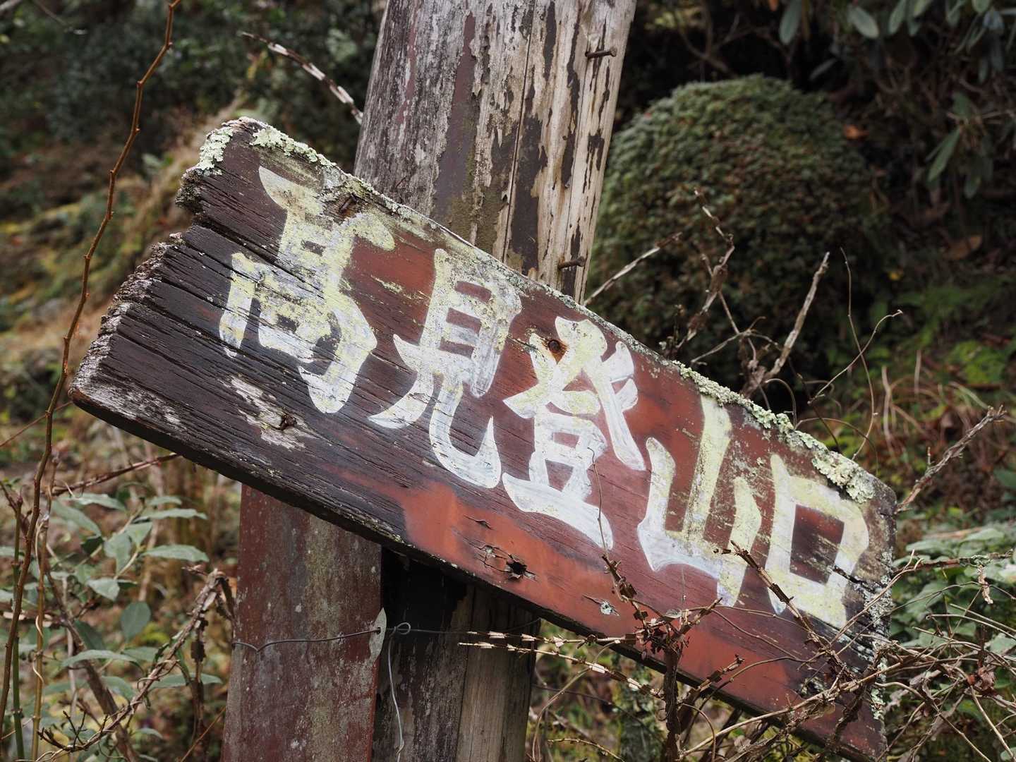 高見登山口から登ります❗️