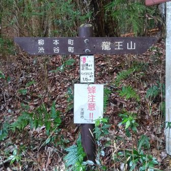 ここから登り口🧗