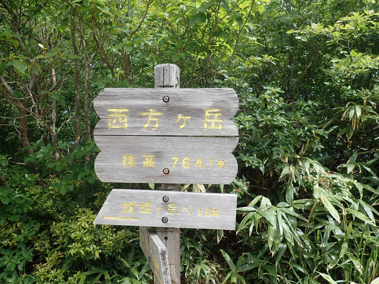 浦底バス停-蠑螺ヶ岳登山口-蠑螺が岳-カモシカ台-西方が岳 縦走コースの写真