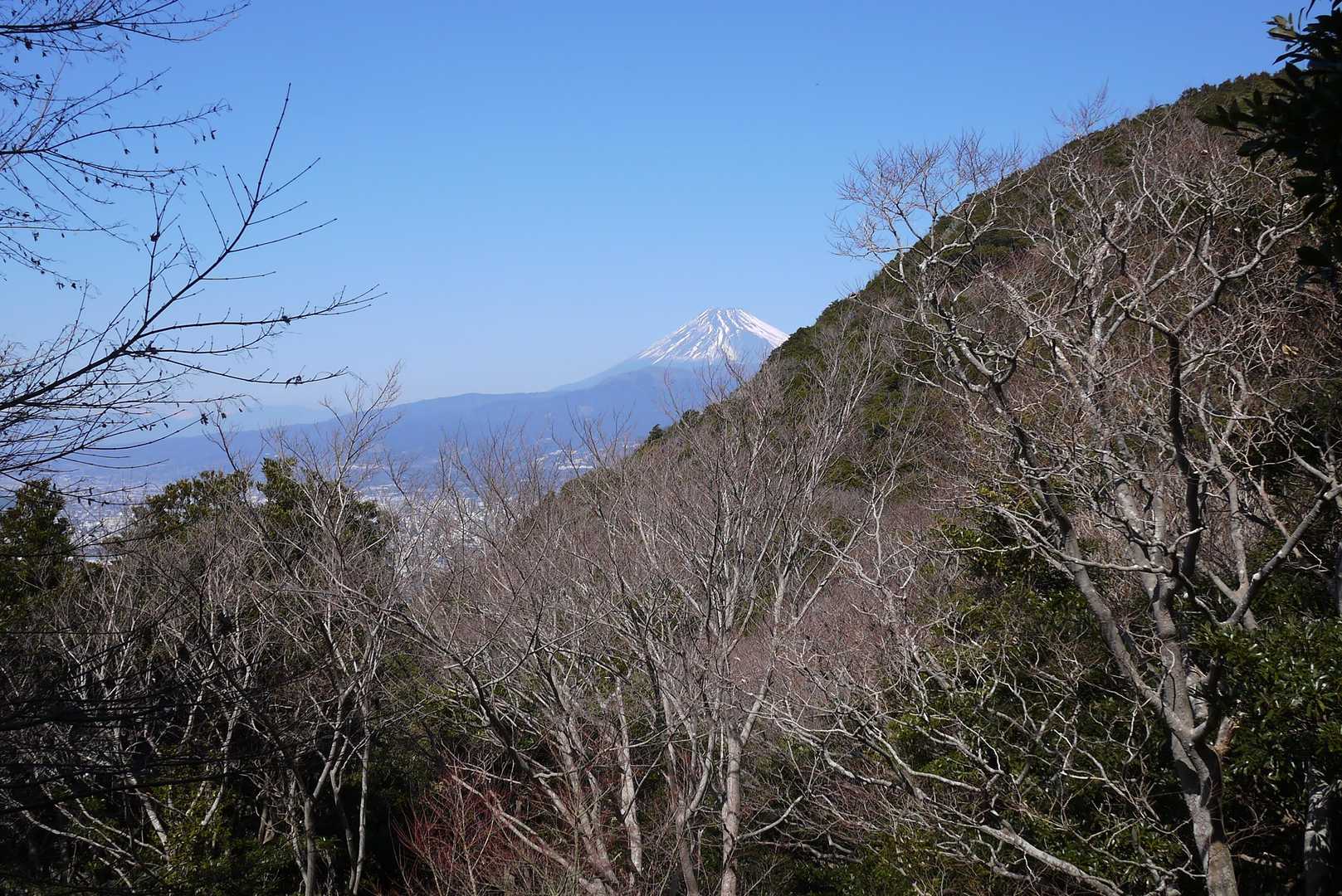 沼商前バス停-徳倉山-志下坂峠-志下山-馬込峠-志下峠 縦走コースの写真