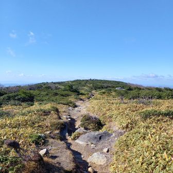 五葉山への戻る道
