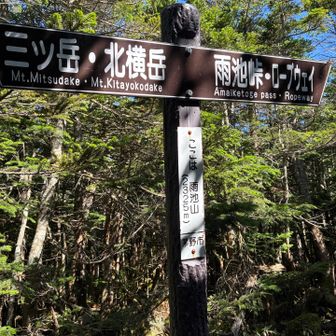 ピーク危うく見逃すとこ🙌

途中何かの鳴き声が聞こえて猿のような小熊とも言えなくもないような…めちゃくちゃ怖くて鈴鳴らしてスプレーの準備してそそくさと歩いた🚶‍♀️
何事もなくて良かった🙏