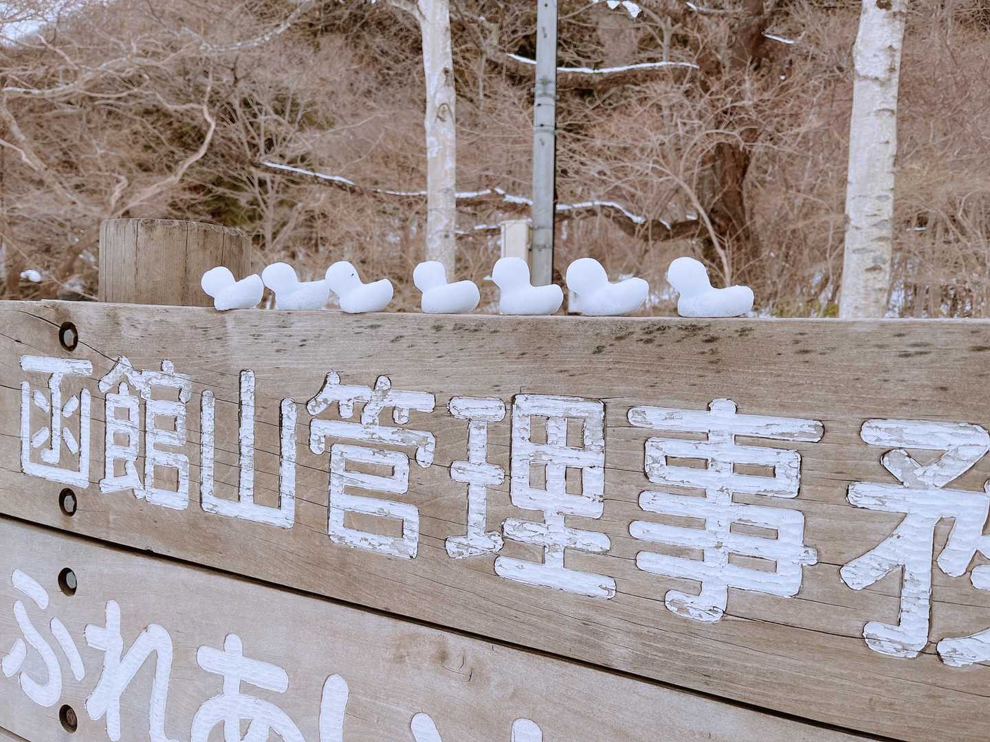 小さくなったのかな？可愛い😍こぉゆう人をおもてなし楽しませてくれるセンス　真似したい