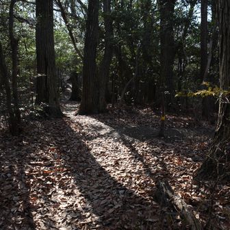 銀峰、コースに到着