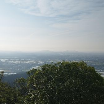 コレも変な☁