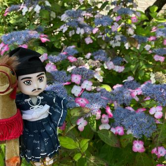 宝物殿のそばに咲いていた紫陽花